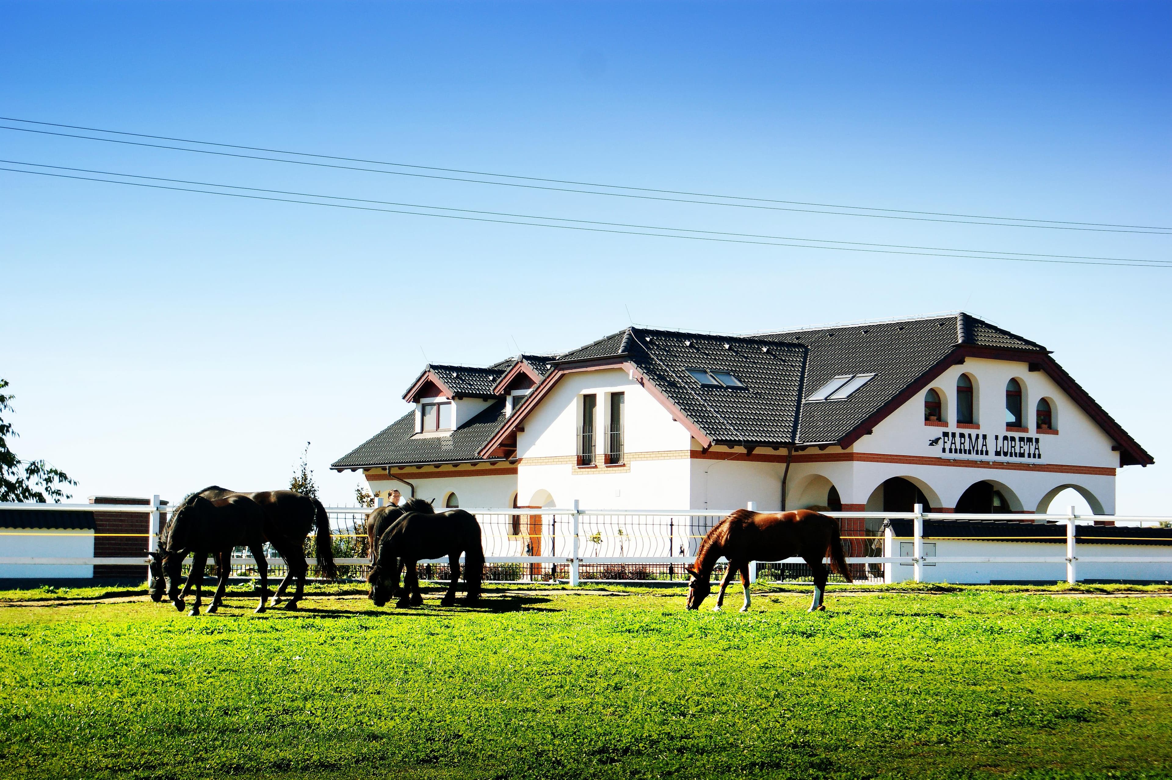 Farma i dvorište